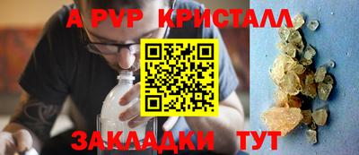 шишки Изобильный