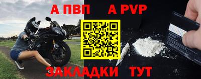 шишки Изобильный