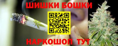 прущие грибы Заводоуковск